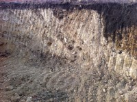 /album/penetrometro/foto-4-jpg/